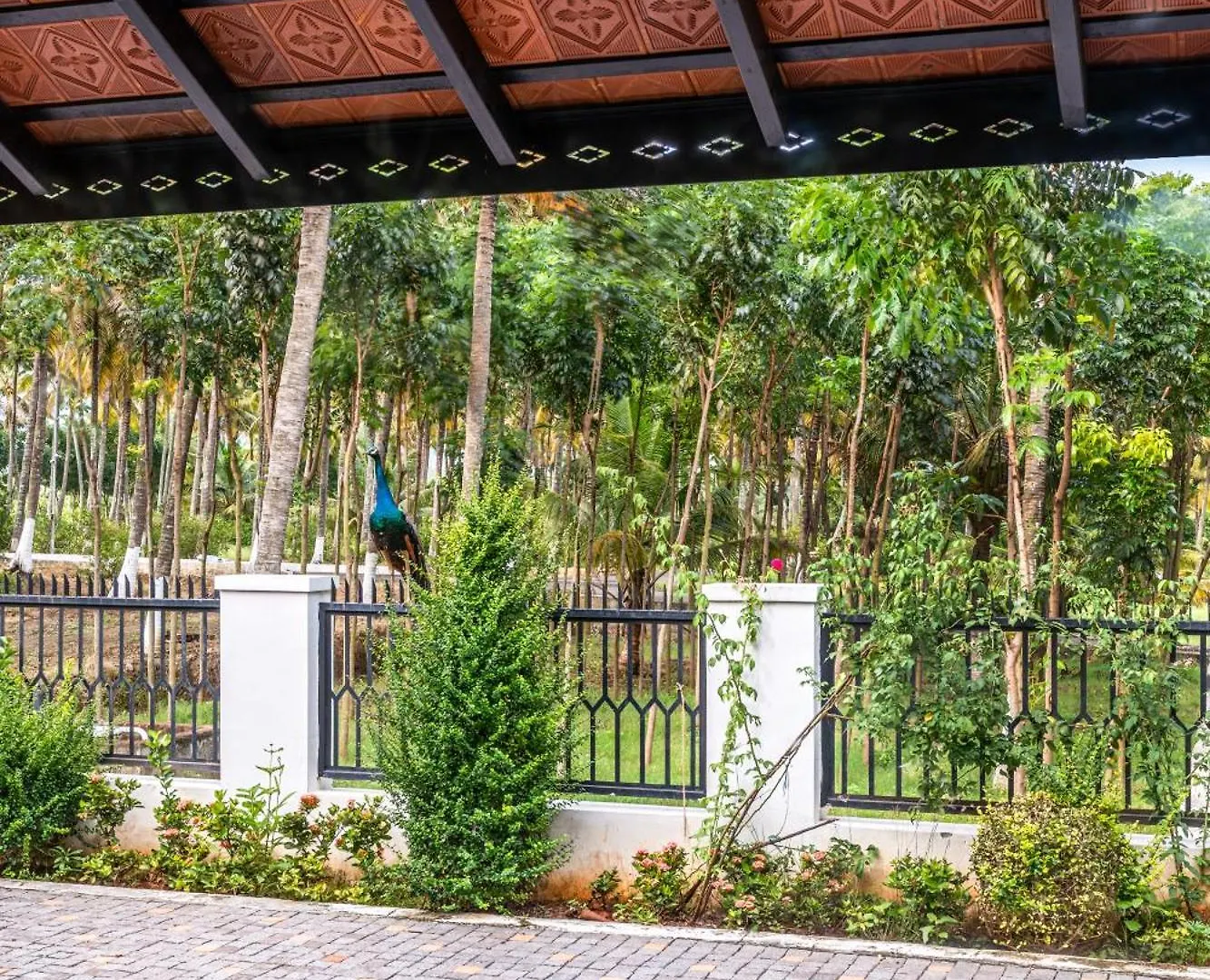 فندق مبيت وإفطار مبيت وإفطار Varagampadi Senaro Farms